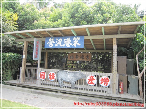 IMG_6561.JPG IMG_6561.JPG