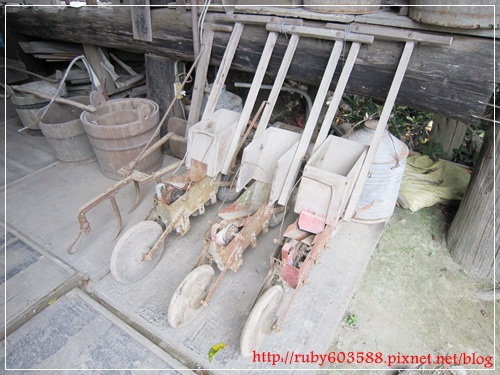 IMG_6568.JPG IMG_6568.JPG