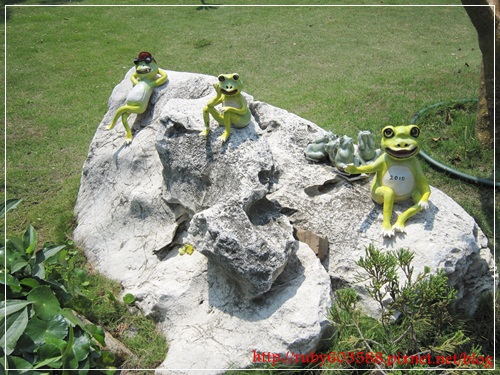 IMG_6592.JPG IMG_6592.JPG