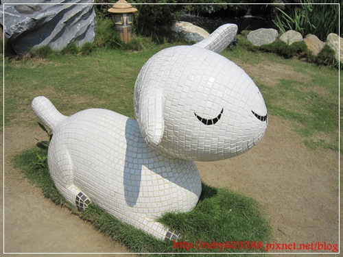 IMG_6595.JPG IMG_6595.JPG