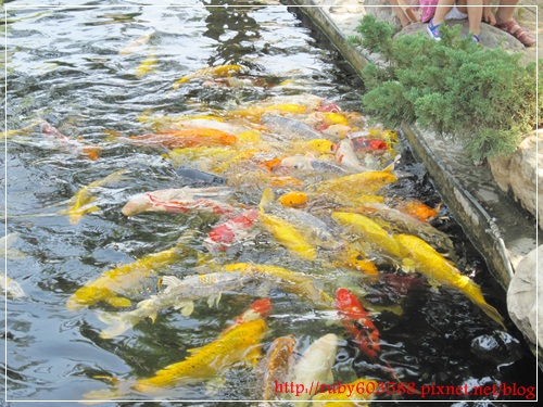 IMG_6598.JPG IMG_6598.JPG