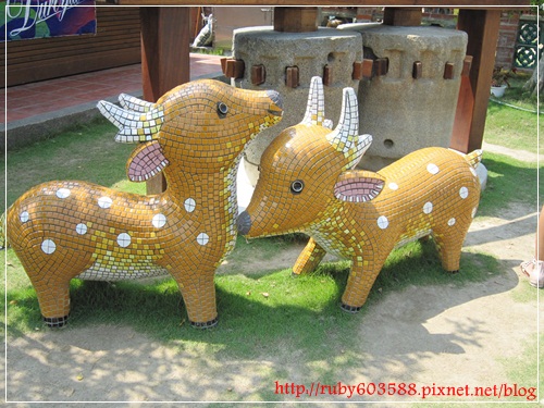 IMG_6601.JPG IMG_6601.JPG