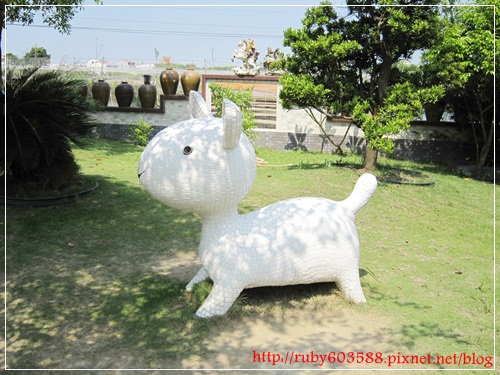 IMG_6600.JPG IMG_6600.JPG