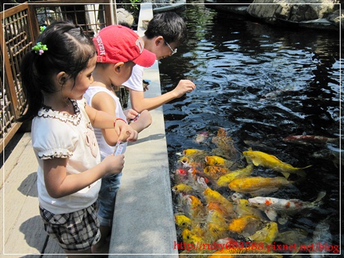 IMG_6602.JPG IMG_6602.JPG