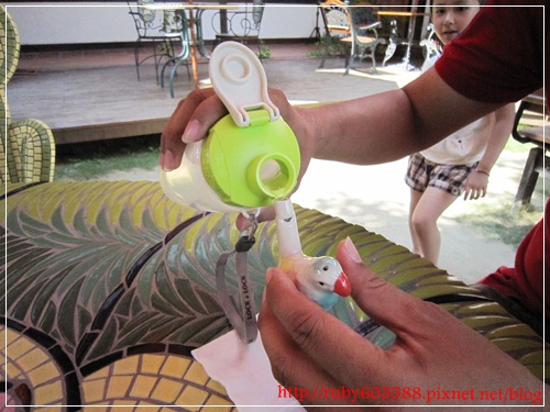 IMG_6636.JPG IMG_6636.JPG