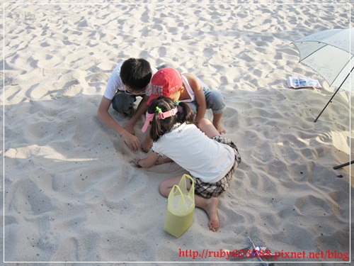 IMG_6702.JPG IMG_6702.JPG