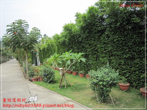 IMG_5195.JPG IMG_5195.JPG