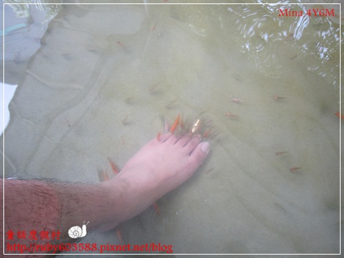 IMG_5202.JPG IMG_5202.JPG