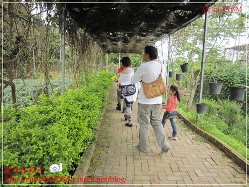 IMG_5097.JPG IMG_5097.JPG