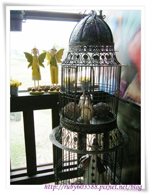 DSCF9246.JPG DSCF9246.JPG