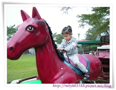 有點醜的馬 有點醜的馬