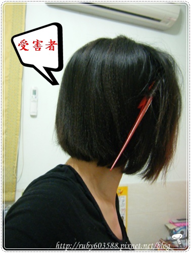 DSCF0761.JPG DSCF0761.JPG