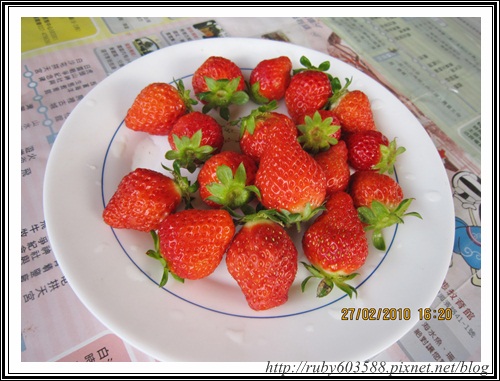 IMG_0515.JPG IMG_0515.JPG