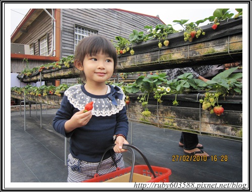 IMG_0519.JPG IMG_0519.JPG