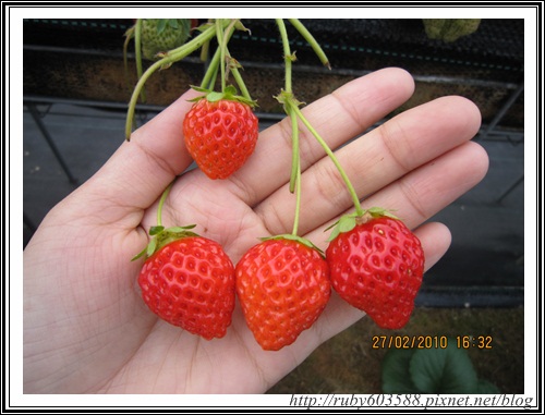 IMG_0521.JPG IMG_0521.JPG