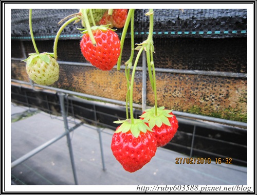 IMG_0522.JPG IMG_0522.JPG