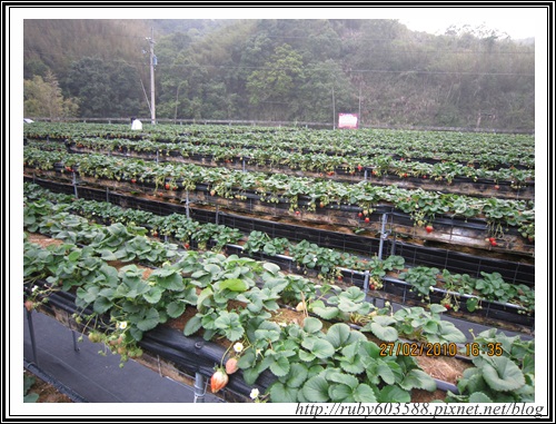 IMG_0523.JPG IMG_0523.JPG