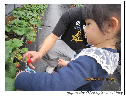 IMG_0524.JPG IMG_0524.JPG