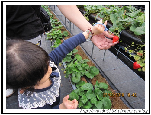 IMG_0525.JPG IMG_0525.JPG