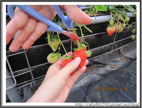 IMG_0527.JPG IMG_0527.JPG