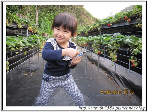 IMG_0529.JPG IMG_0529.JPG