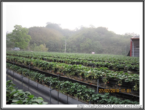 IMG_0531.JPG IMG_0531.JPG