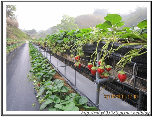 IMG_0532.JPG IMG_0532.JPG