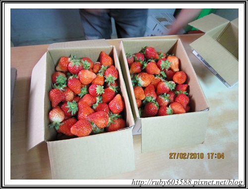 IMG_0537.JPG IMG_0537.JPG