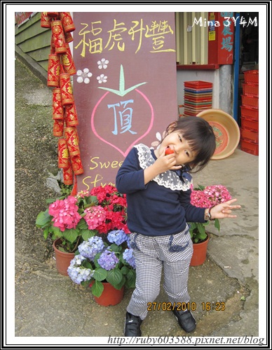 IMG_0517.JPG IMG_0517.JPG