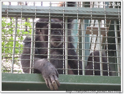 IMG_0056 (3).JPG IMG_0056 (3).JPG