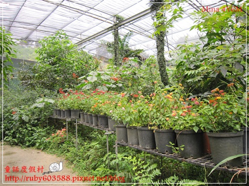 IMG_5122.JPG IMG_5122.JPG