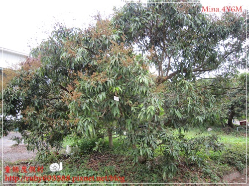 IMG_5084.JPG IMG_5084.JPG