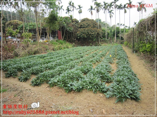 IMG_5094.JPG IMG_5094.JPG