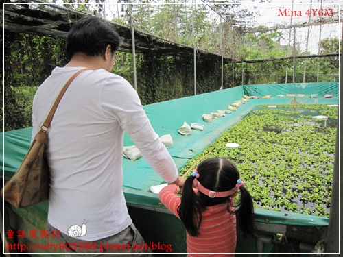 IMG_5088.JPG IMG_5088.JPG