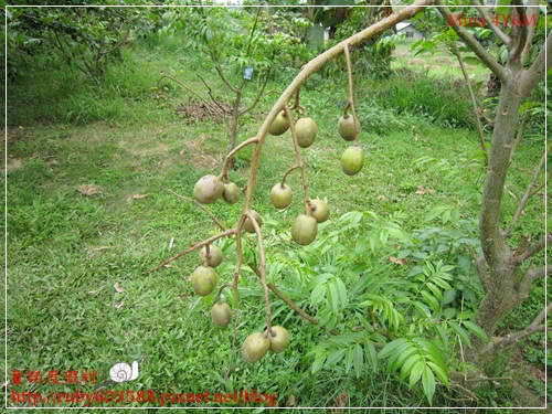 IMG_5104.JPG IMG_5104.JPG