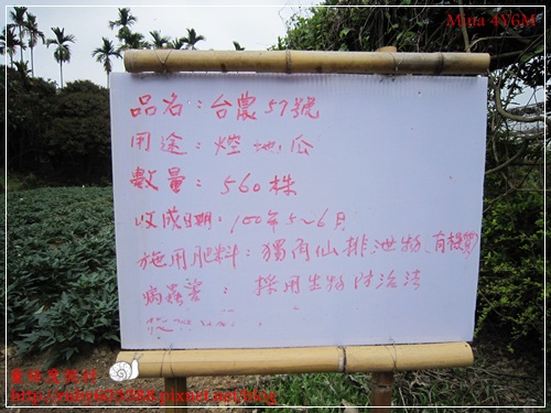 IMG_5095.JPG IMG_5095.JPG