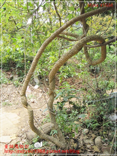 IMG_5142.JPG IMG_5142.JPG