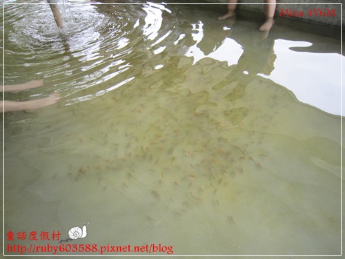 IMG_5188.JPG IMG_5188.JPG