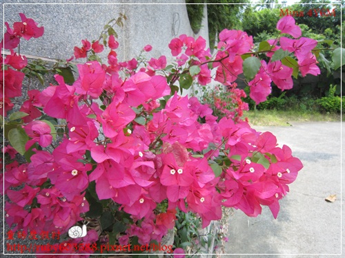 IMG_5208.JPG IMG_5208.JPG