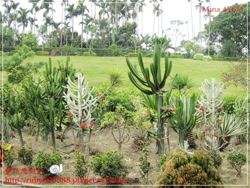 IMG_5177.JPG IMG_5177.JPG