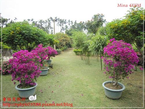 IMG_5180.JPG IMG_5180.JPG