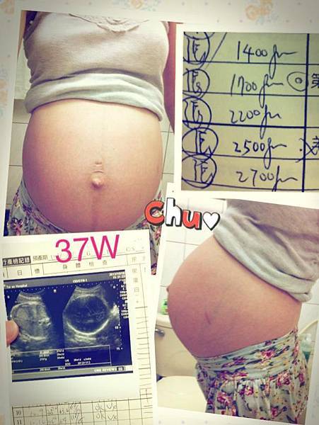 308048_498460320172250_447576492_n