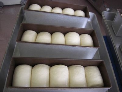 tn_CIMG0649.JPG tn_CIMG0649.JPG