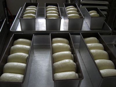 tn_CIMG0652.JPG tn_CIMG0652.JPG