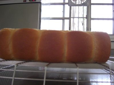 tn_CIMG0655.JPG tn_CIMG0655.JPG