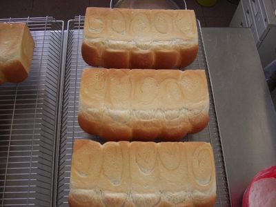 tn_CIMG0656.JPG tn_CIMG0656.JPG