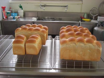 tn_CIMG0659.JPG tn_CIMG0659.JPG