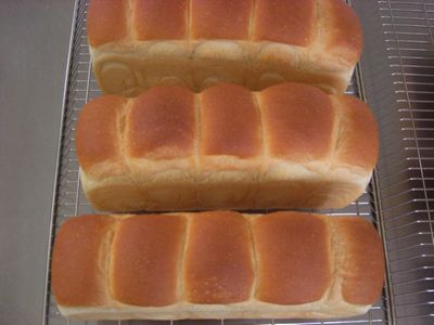 tn_CIMG0665.JPG tn_CIMG0665.JPG