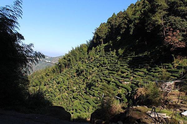 47075_428040473923684_1513344186_n