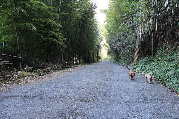 542006_428041927256872_1669261891_n